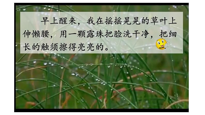 部编版语文二年级下册 11 我是一只小虫子(第二课时) 课件第7页