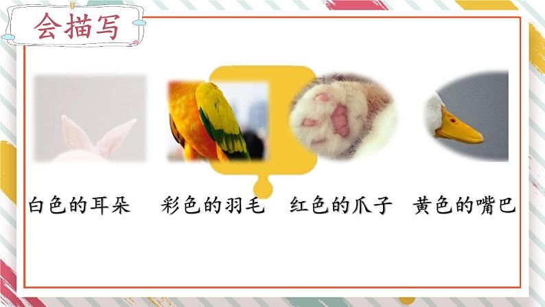 部编版语文二年级下册 语文园地七 写话 课件第8页