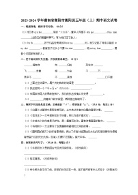2023-2024学年湖南省衡阳市衡阳县五年级上学期期中语文试卷（含答案）