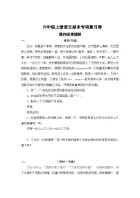专题12：课内阅读理解-2023-2024学年六年级上册语文期末专项知识点（统编版）