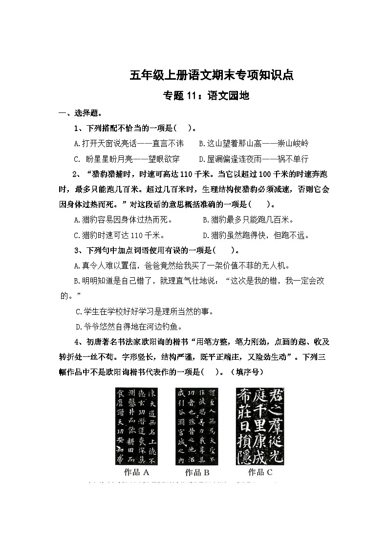 专题11:语文园地-2023-2024学年五年级上册语文期末专项知识点(统编版)01
