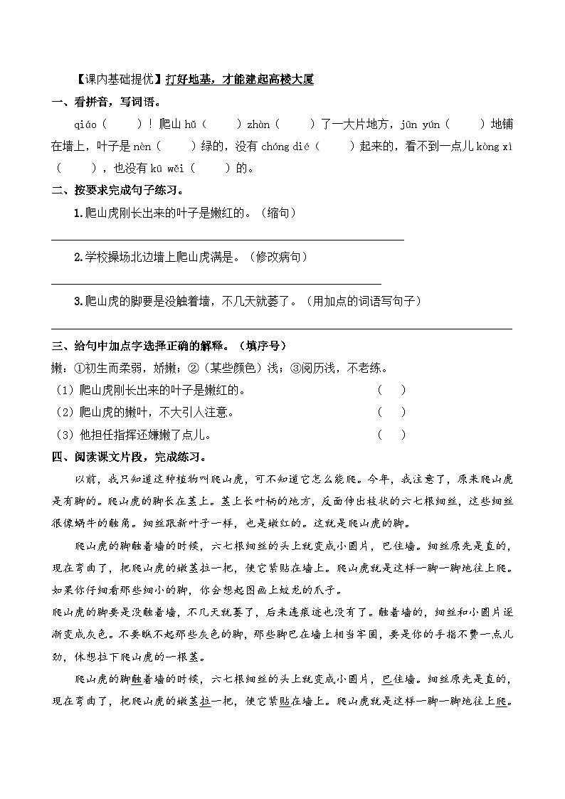 四年级语文上册(知识点+配套练习)10.《爬山虎的脚》学生版第2页