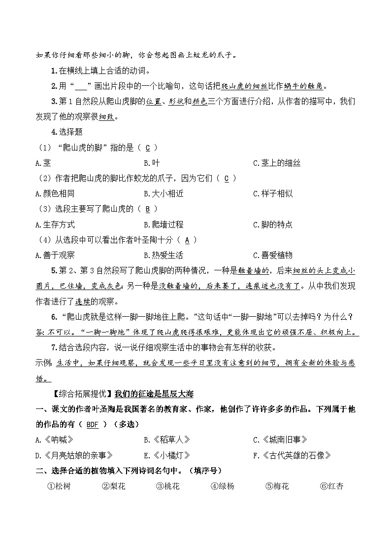 四年级语文上册(知识点+配套练习)10.《爬山虎的脚》学生版第3页