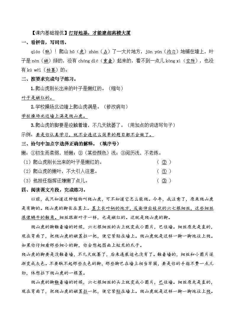 四年级语文上册(知识点+配套练习)10.《爬山虎的脚》教师版第2页