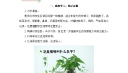 人教部编版三年级下册习作：我的植物朋友教学设计