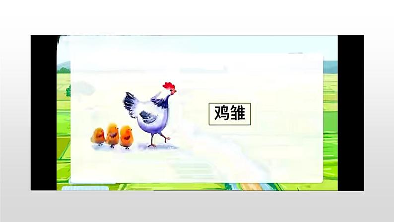 14 母鸡(课件)编版语文四年级下册第3页