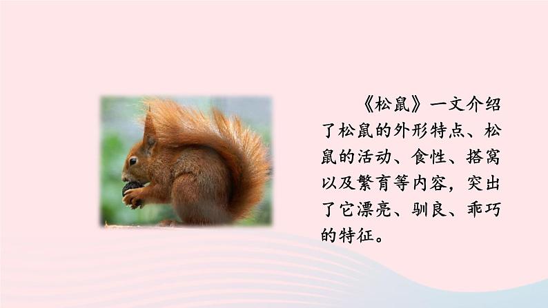 2023五年级语文上册期末专题复习第三单元3习作:介绍事物须清楚课件(部编版)06