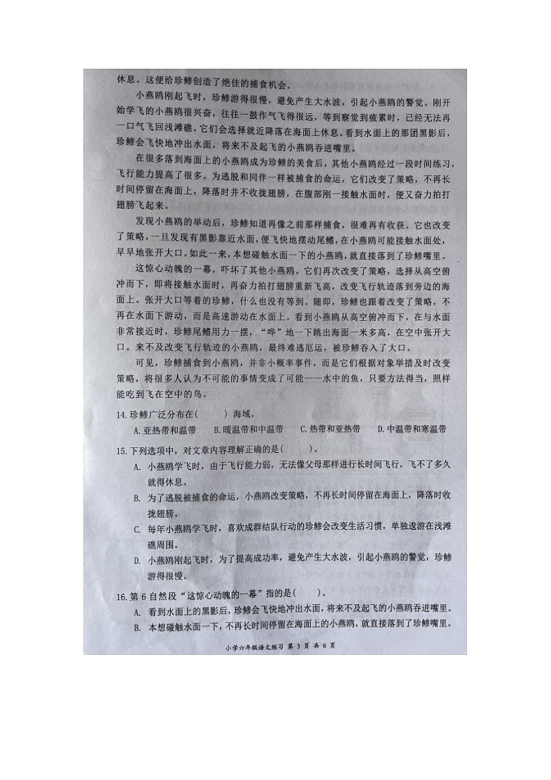 福建省宁德市古田县2023-2024学年六年级上学期期末检测语文试题第3页