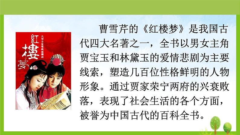 8红楼春趣(课件)五年级下册语文统编版04