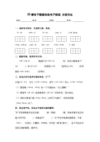 小学语文人教部编版三年级下册慢性子裁缝和急性子顾客精品练习题