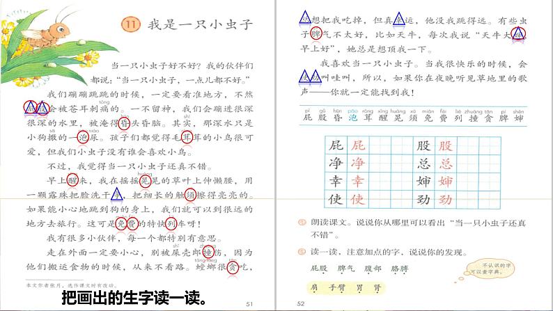 【核心素养】部编版语文二下 11《我是一只小虫子》课件+教案+音视频素材07
