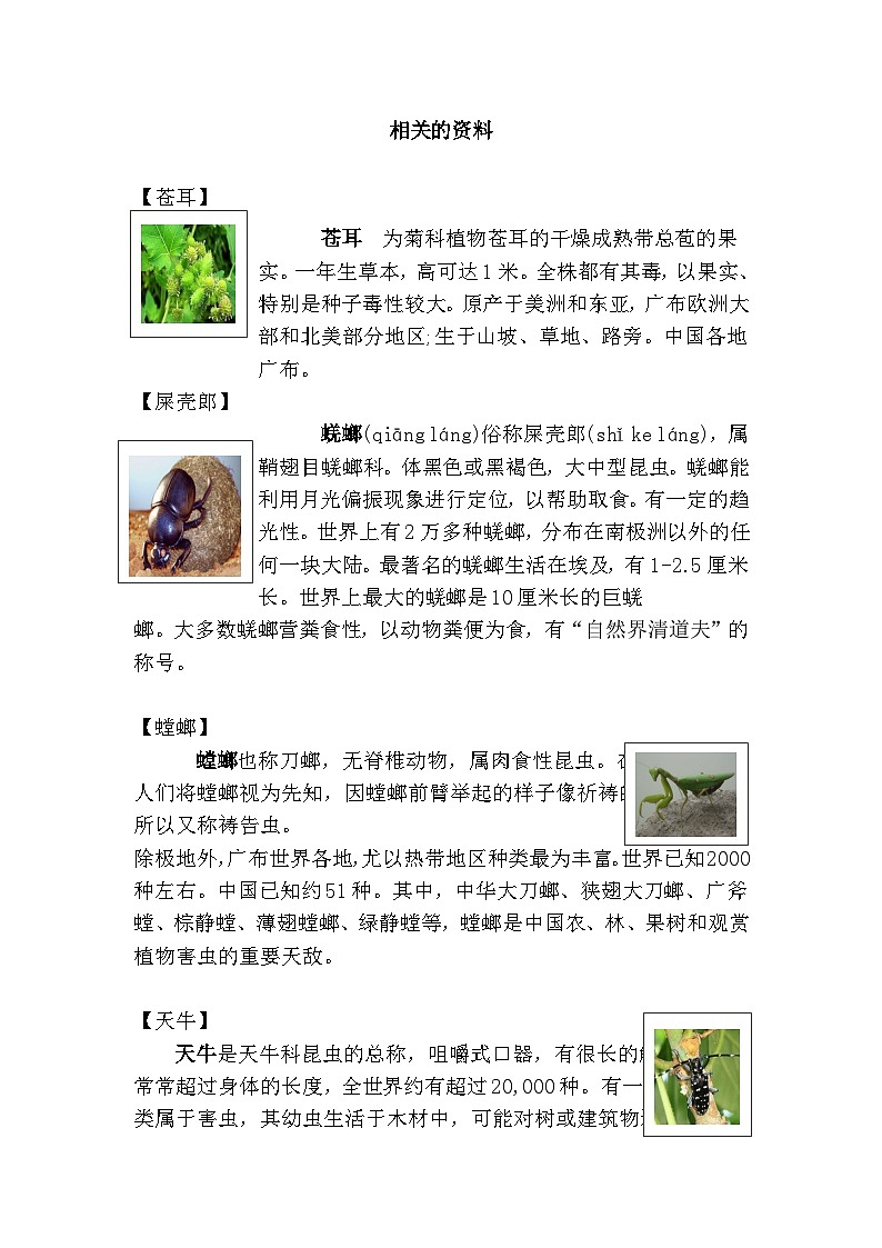 【核心素养】部编版语文二下 11《我是一只小虫子》课件+教案+音视频素材01