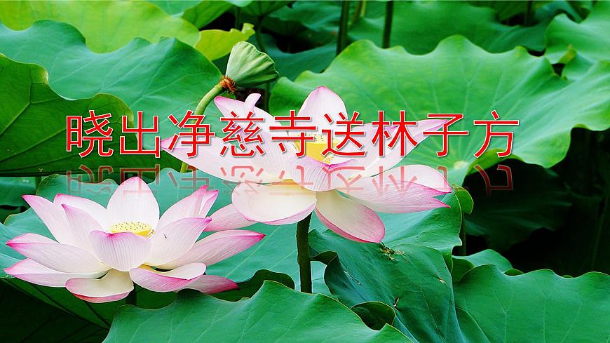 15.《古詩(shī)二首》第一課時(shí)第4頁(yè)