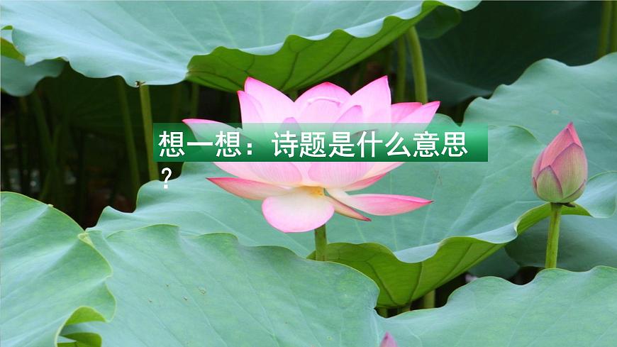 15.《古詩(shī)二首》第一課時(shí)第6頁(yè)