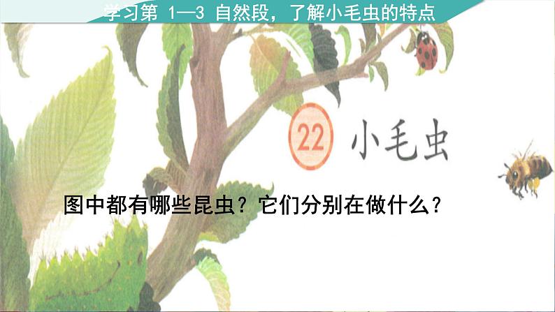 【核心素养】部编版语文二下 22《小毛虫》课件+教案+音视频素材04