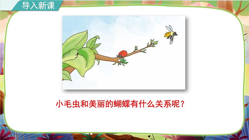 【核心素养】部编版语文二下 22《小毛虫》课件+教案+音视频素材04