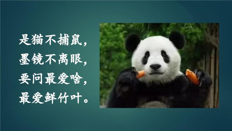 部编版语文三年级下册 习作：国宝大熊猫（第一课时） 课件02