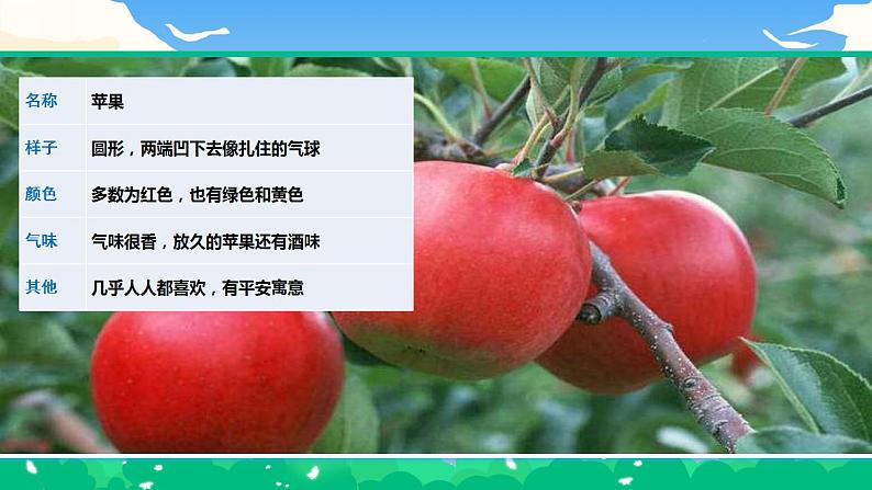 【核心素养】部编版小学语文 三年级下册习作.我的植物朋友 课件.docx第5页