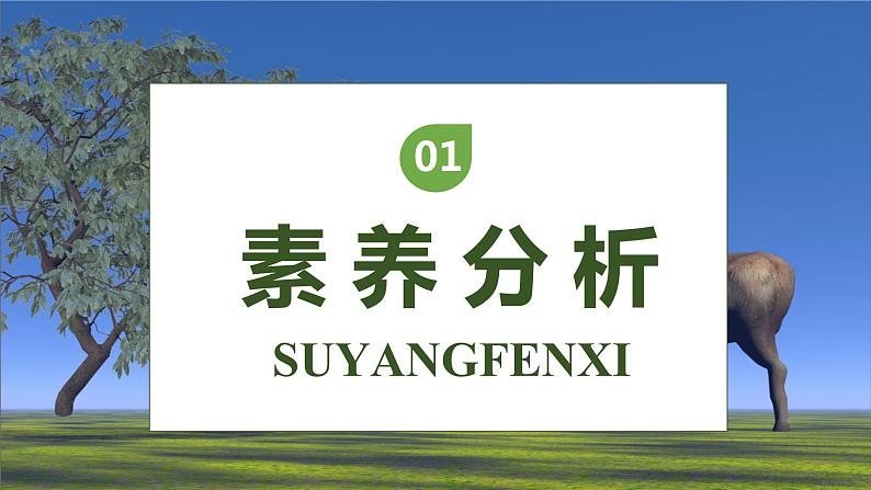 【核心素养】部编版语文三年级下册-7. 鹿角和鹿腿 第2课时(课件+教案+学案+习题)03