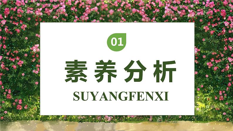 【核心素养】部编版语文三年级下册-13. 花钟 第1课时(课件)第3页
