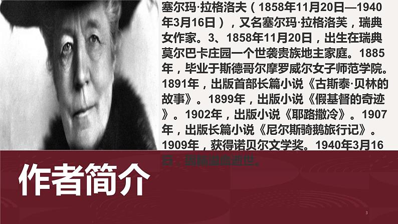 骑鹅旅行记(节选)(课件)03
