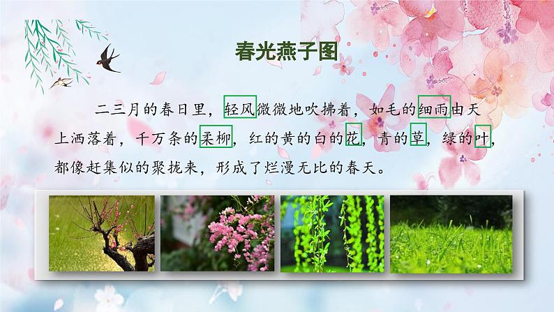 第2课《燕子》(第二课时)(教学课件)第5页