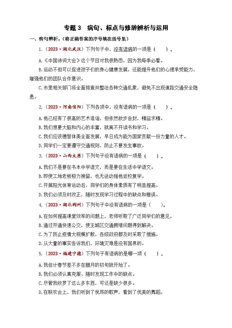 专题3+病句、标点与修辞辨析与运用-2024年小升初语文考点精准练(统编版)01