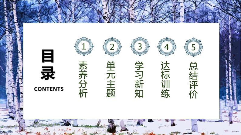 【核心素养】部编版语文四年级下册-11.白桦 第1课时(课件+教案+导学案+分层作业)02