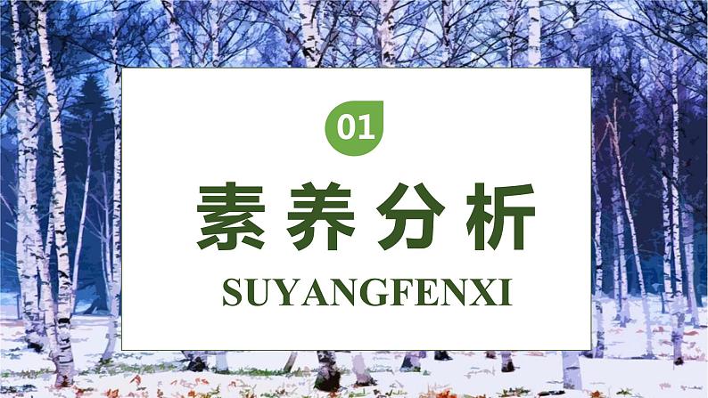 【核心素养】部编版语文四年级下册-11.白桦 第1课时(课件+教案+导学案+分层作业)03