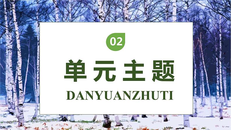 【核心素养】部编版语文四年级下册-11.白桦 第1课时(课件+教案+导学案+分层作业)06