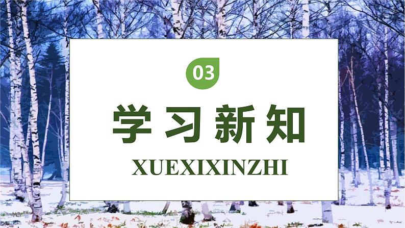 【核心素养】部编版语文四年级下册-11.白桦 第1课时(课件+教案+导学案+分层作业)08