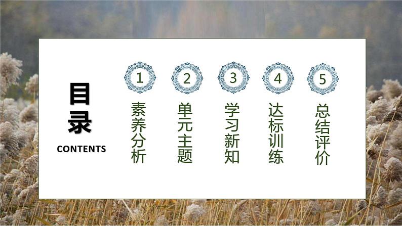 【核心素养】部编版语文四年级下册-21.芦花鞋(课件+教案+导学案+分层作业)02