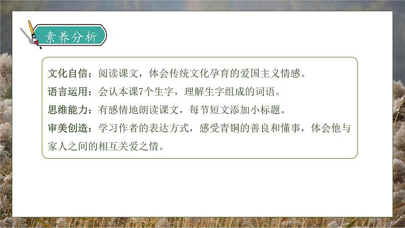 【核心素养】部编版语文四年级下册-21.芦花鞋(课件+教案+导学案+分层作业)04
