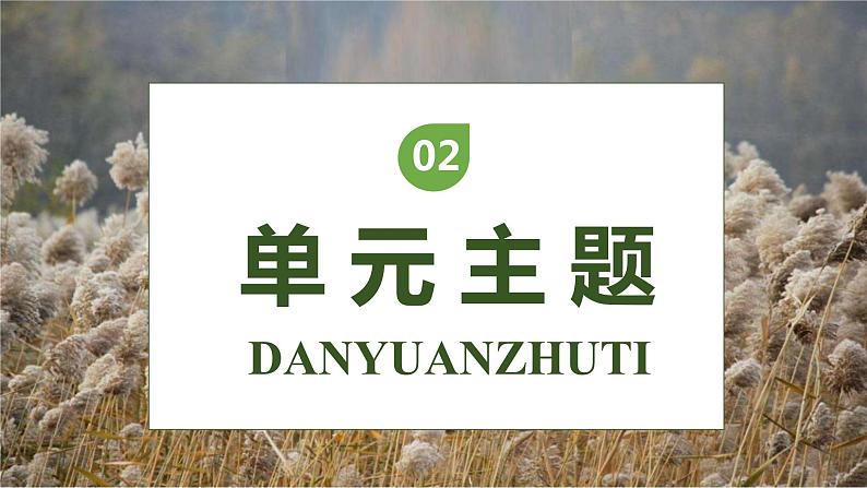 【核心素养】部编版语文四年级下册-21.芦花鞋(课件+教案+导学案+分层作业)06