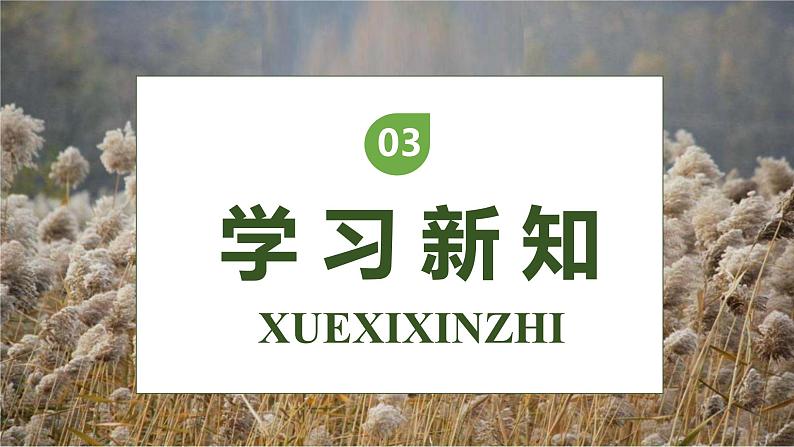 【核心素养】部编版语文四年级下册-21.芦花鞋(课件+教案+导学案+分层作业)08