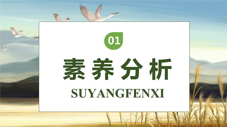 【核心素养】部编版语文四年级下册-6.飞向蓝天的恐龙 第2课时(课件+教案+导学案+分层作业)03
