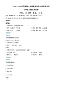 2023-2024学年广东省茂名市化州市部编版五年级上册期末考试语文试卷
