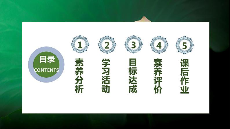 【核心素养】部编版语文一年级下册-11. 古诗二首 第2课时(课件)第2页
