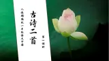 【核心素养】部编版语文一年级下册-11. 古诗二首 第1课时（课件+教案+学案+习题）