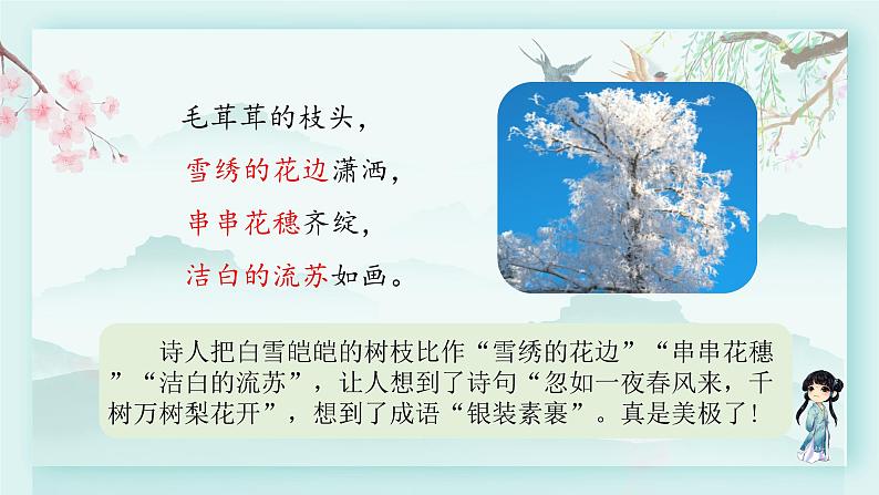 四年级语文下册上课课件 第三单元 11.白桦第二课时第5页
