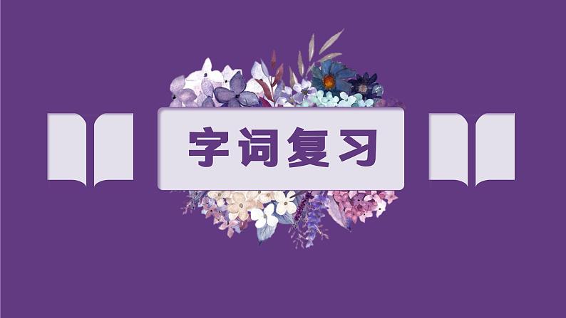 第二单元复习(课件)-2023-2024学年语文六年级下册02