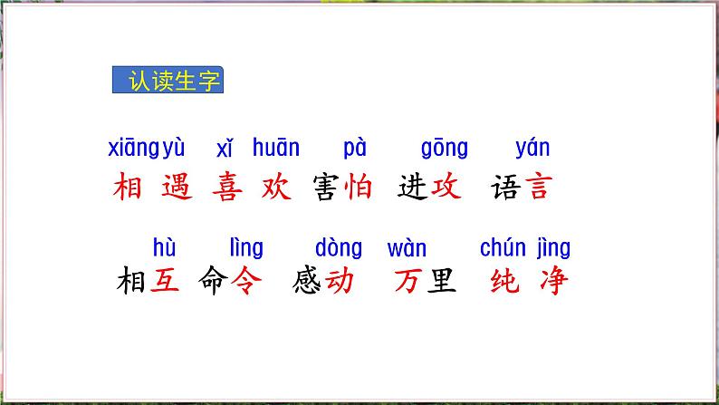 部缟1语下 第一单元 识字4 猜字谜 PPT课件+教案06