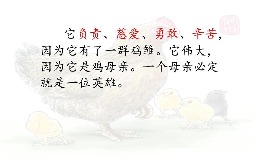 14 《母雞》第二課時課件PPT第3頁