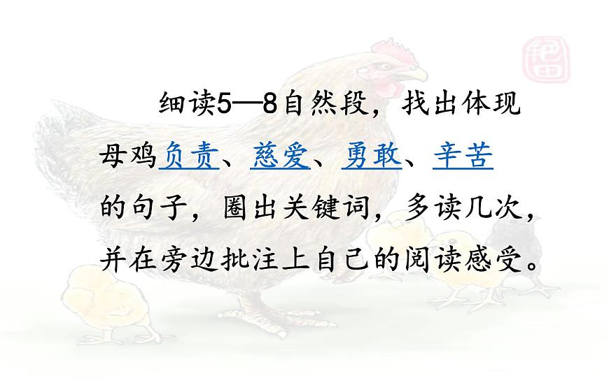 14  《母雞》第二課時課件PPT第4頁