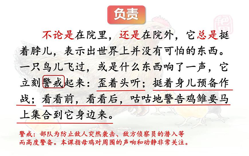 14  《母雞》第二課時課件PPT第5頁