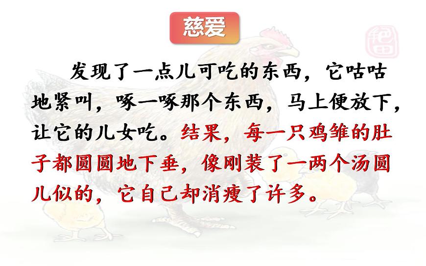 14  《母雞》第二課時課件PPT第7頁