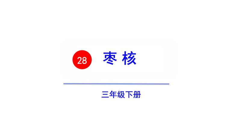 三年级语文下册第八单元28枣核教学课件02