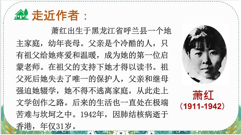 人教版小学语文五(下)2 祖父的园子 课件第4页