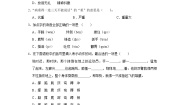 13 人物描写一组  （培优篇）2023-2024学年下学期小学语文人教部编版五年级同步分层作业
