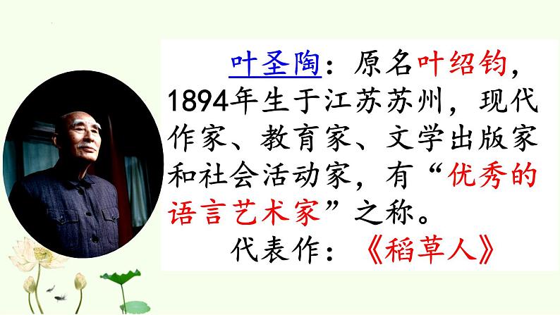 统编版语文三年级下册《3.荷花》(课件)第5页